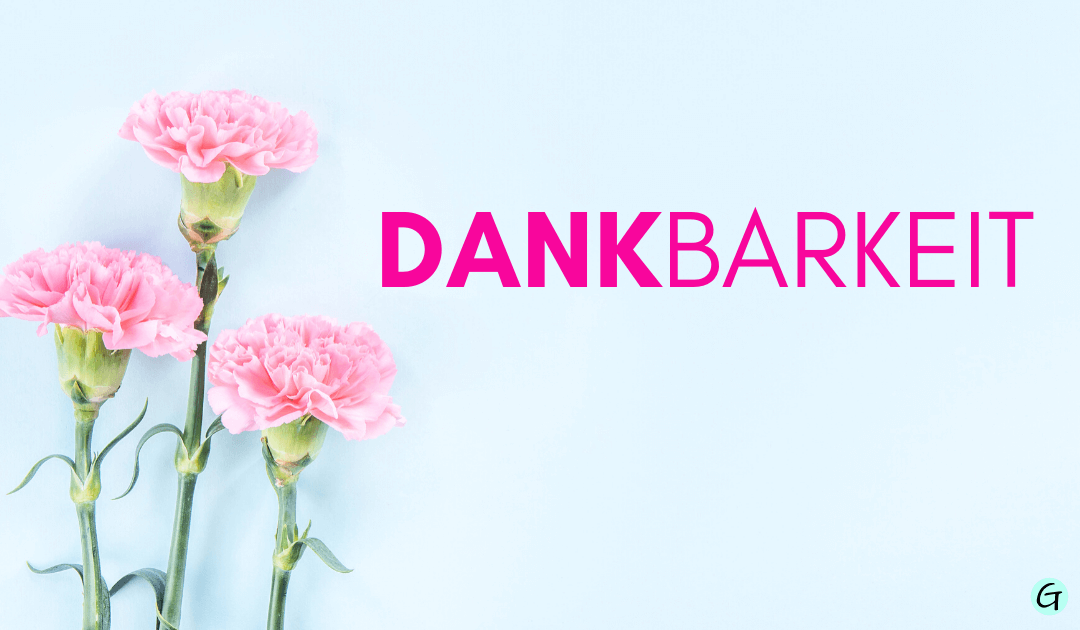 Dankbarkeit Sprüche, das Danke wiederfinden
